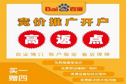 百度SEO推广实战：行业领先企业的成功之道